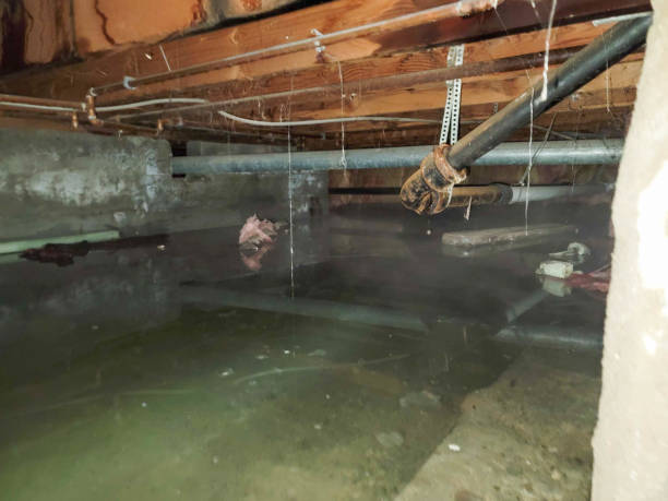 Best Water damage restoration near me  in Trucksville, PA