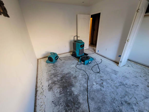Best Professional water damage repair  in Trucksville, PA
