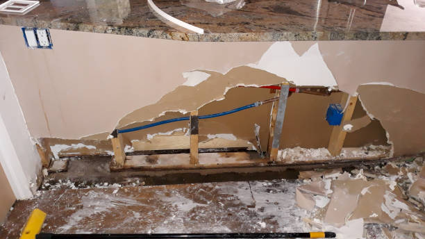 Best Water damage cleanup near me  in Trucksville, PA