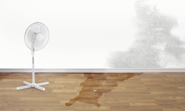 Best Commercial water damage restoration  in Trucksville, PA