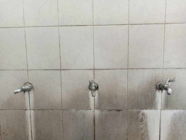Best Water damage cleanup near me  in Trucksville, PA