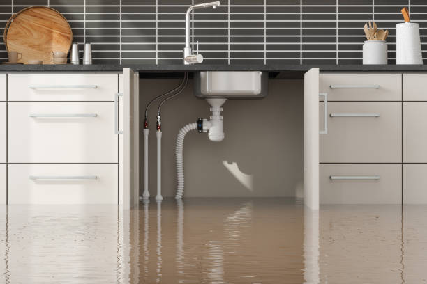 Best Water damage restoration cost  in Trucksville, PA